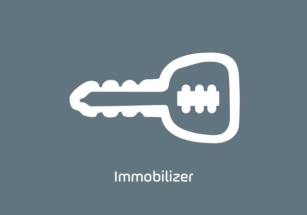 Immobilizer Anti-Theft System